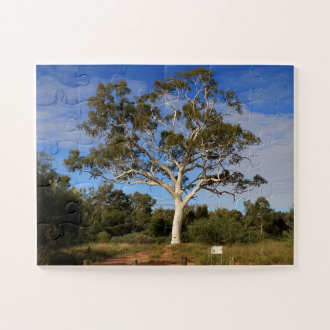 Ghost gum tree, Outback Australien Puzzle (Horizontal)