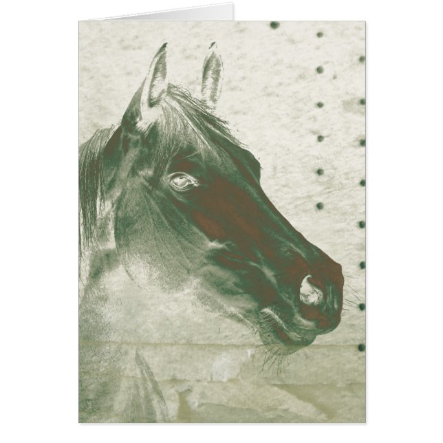 Ghost Horse (Vorne)