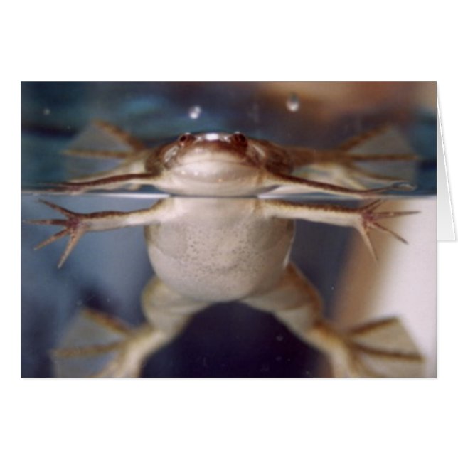 Ghost of Many Legs card (Vorderseite (Horizontal))