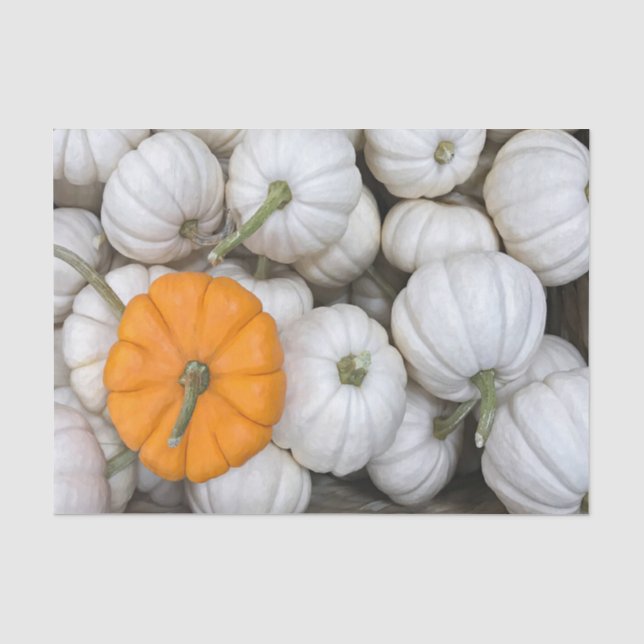 Ghost Pumpkins mit einer sneakfarbenen Orange Seidenpapier (Vorderseite)