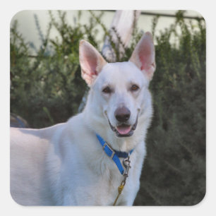 Ghost Quadratischer Aufkleber