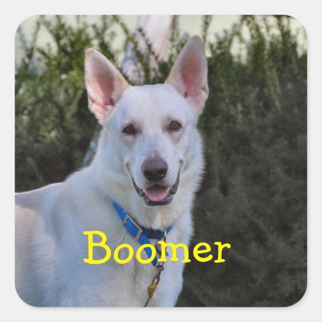 Ghost Quadratischer Aufkleber (Vorderseite)