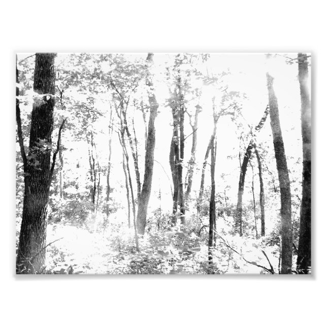 Ghosted Forest Fotodruck (Vorne)
