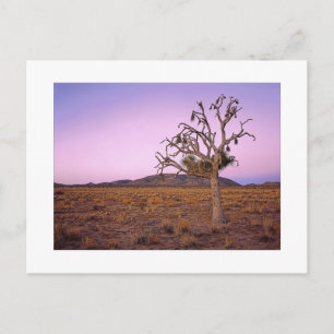 " Ghosted Shape Shifter " Postkarte