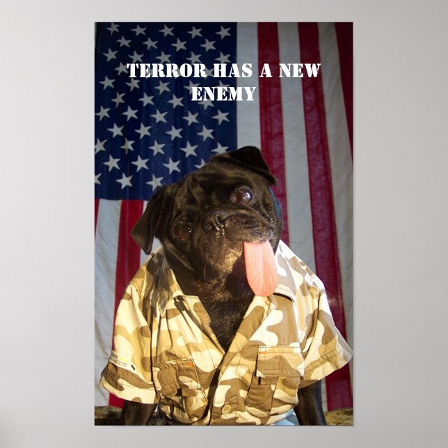 GI Yogi Fighting the war on terror Poster (Vorne)