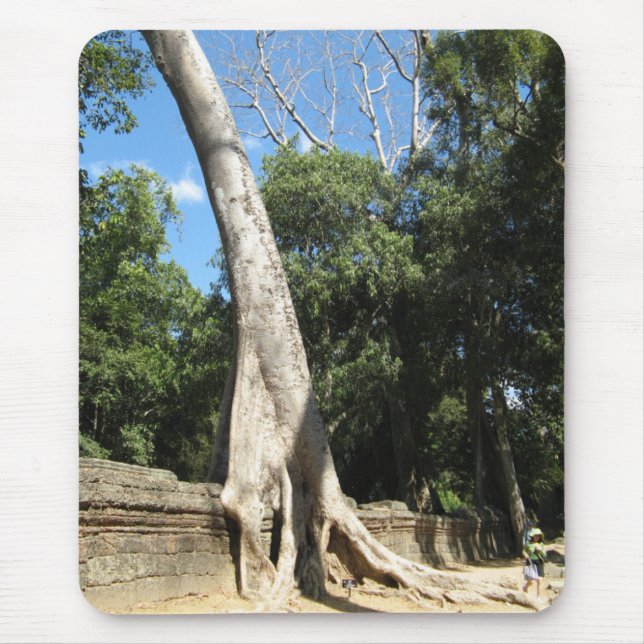 Giant Banyan Tree ... Ta Prohm Temple, Kambodscha Mousepad (Vorne)