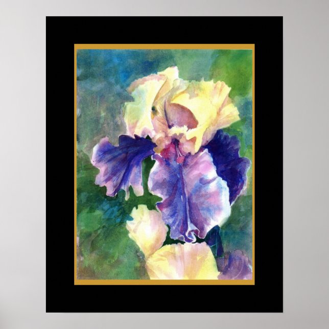 Giant Bearded Iris Poster (Vorne)