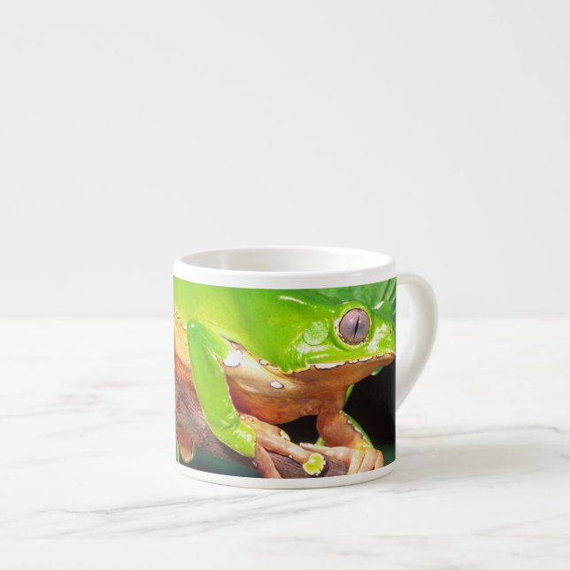 Giant Bicolor Monkey Treefrog, Phyllomedusa Espressotasse (Vorderseite Rechts)