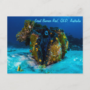 Giant Clam on the Great Barrier Reef Postcard Postkarte
