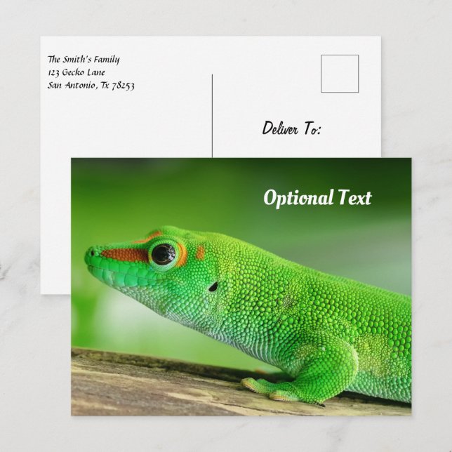 Giant Green Day Gecko Postkarte (Vorne/Hinten)