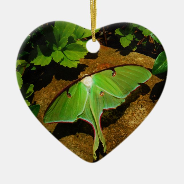 Giant Green Luna moth Keramikornament (Vorne)