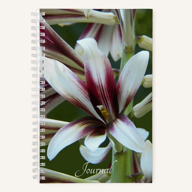 Giant Himalayan Lily Floral Notizbuch (Vorderseite)