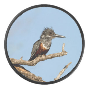 Giant Kingfisher Eishockey Puck
