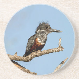 Giant Kingfisher Getränkeuntersetzer