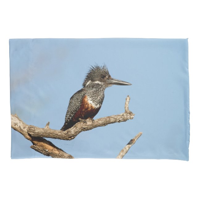 Giant Kingfisher Kissenbezug (Vorderseite)
