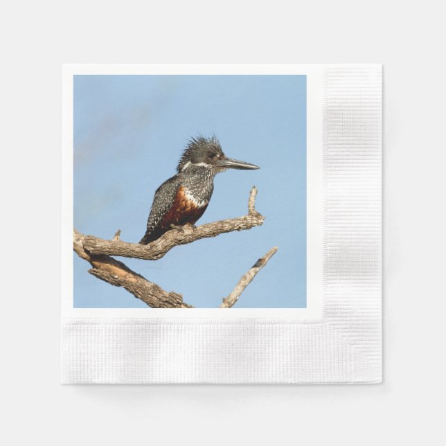 Giant Kingfisher Serviette (Vorderseite)