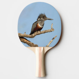Giant Kingfisher Tischtennis Schläger