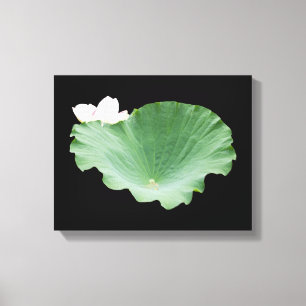Giant Lotus Leaf mit Bloom Leinwanddruck