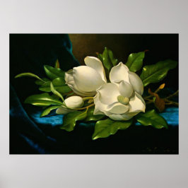 Giant Magnolia auf einem blauen Samttuch Poster