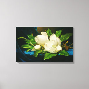Giant Magnolias auf einem blauen Samttuch (Heade) Leinwanddruck