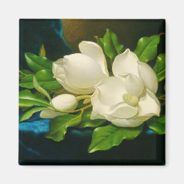Giant Magnolias auf einem blauen Samttuch (Heade) Magnet