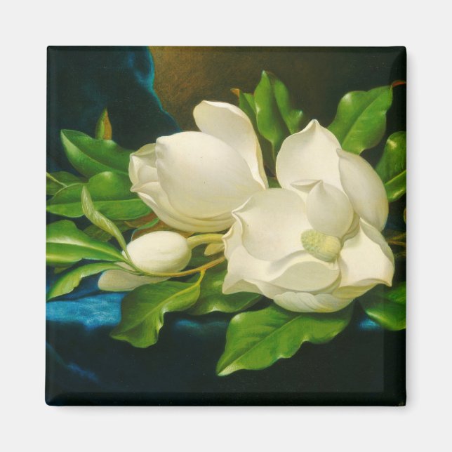 Giant Magnolias auf einem blauen Samttuch (Heade) Magnet (Vorne)