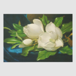 Giant Magnolias auf einem blauen Samttuch (Heade) Seidenpapier