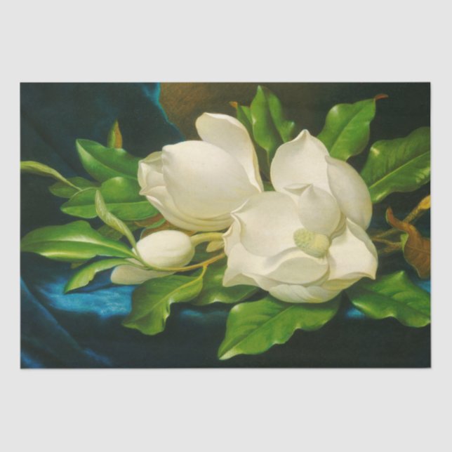 Giant Magnolias auf einem blauen Samttuch (Heade) Seidenpapier (Vorderseite)
