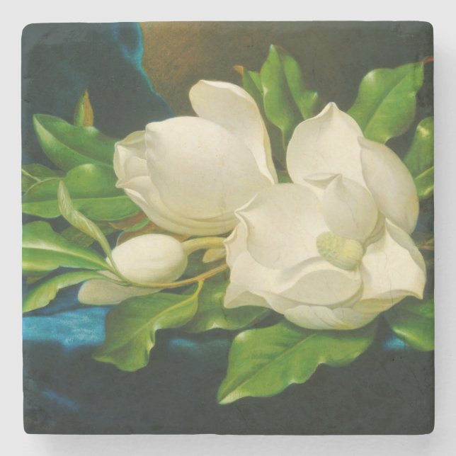 Giant Magnolias auf einem blauen Samttuch (Heade) Steinuntersetzer (Vorderseite)