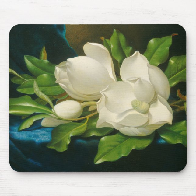 Giant Magnolias auf einem blauen Samttuch Mousepad (Vorne)