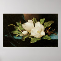 Giant Magnolias auf einem blauen Samttuch von MJ H