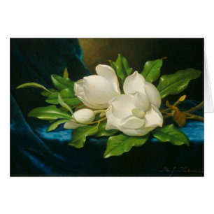 Giant Magnolias on a Blue Velvet Tuch, c.1890 (oi