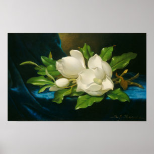 Giant Magnolias on a Blue Velvet Tuch, c.1890 (oi Poster