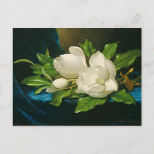 Giant Magnolias on a Blue Velvet Tuch, c.1890 (oi Postkarte