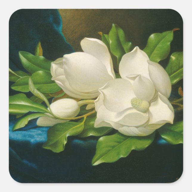 Giant Magnolias on a Blue Velvet Tuch, c.1890 (oi Quadratischer Aufkleber (Vorderseite)