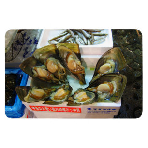 Giant Mussels Tsukiji Fish Market, Tokio, Japan Magnet