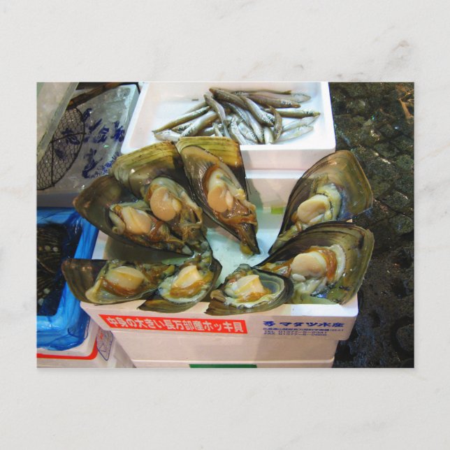 Giant Mussels Tsukiji Fish Market, Tokio, Japan Postkarte (Vorderseite)