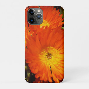Giant Orange Daisies, Case-Mate iPhone Hülle