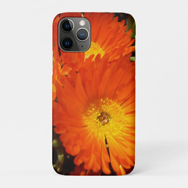 Giant Orange Daisies, Case-Mate iPhone Hülle (Rückseite)