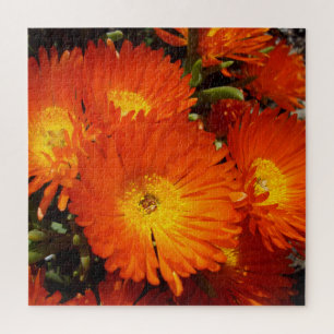 Giant Orange Daisies, Puzzle