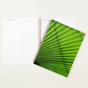 Giant Palm Leaf Pattern Planer