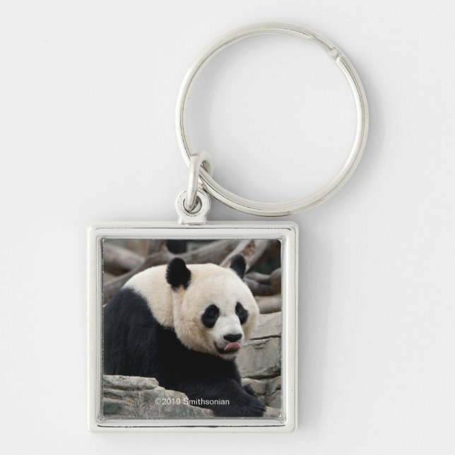 Giant Panda auf Steinen Schlüsselanhänger (Vorne)