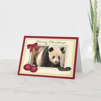 Giant Panda Bear & Baby Panda Christmas Card Feiertagskarte
