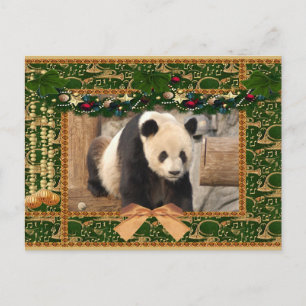 Giant Panda Bear & Baby Panda Christmas Card Feiertagspostkarte