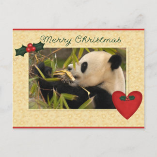 Giant Panda Bear & Baby Panda Christmas Card Feiertagspostkarte
