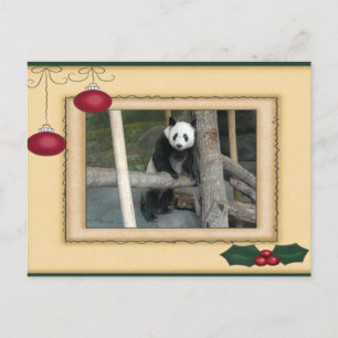 Giant Panda Bear & Baby Panda Christmas Card Feiertagspostkarte