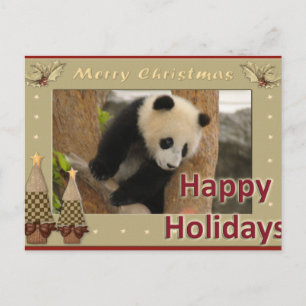 Giant Panda Bear & Baby Panda Christmas Card Feiertagspostkarte