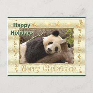 Giant Panda Bear & Baby Panda Christmas Card Feiertagspostkarte