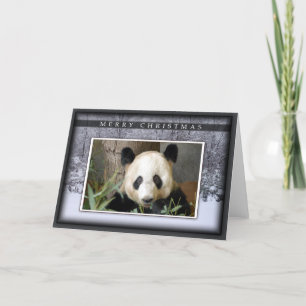 Giant Panda Bear Christmas Greeting Card Feiertagskarte