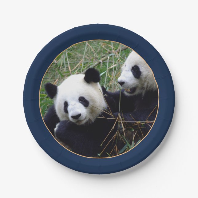 Giant Panda Bears Eating Bamboo (Party) Papiertafe Pappteller (Vorderseite)